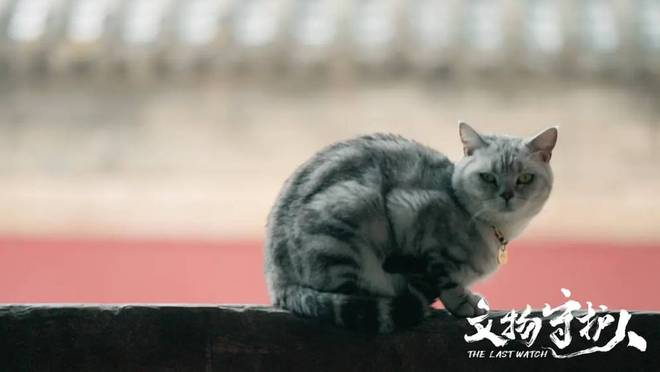 兒子不寫作業(yè)玩《黑神話：悟空》我連夜做了這件事！(圖13)