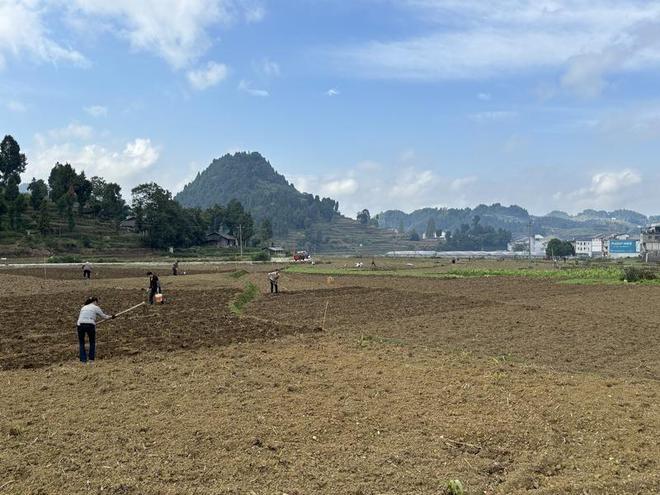 九游體育網(wǎng)站:桐梓縣官倉(cāng)鎮(zhèn):構(gòu)建“53115”產(chǎn)業(yè)體系奏響鄉(xiāng)村振興新樂(lè)章(圖4)